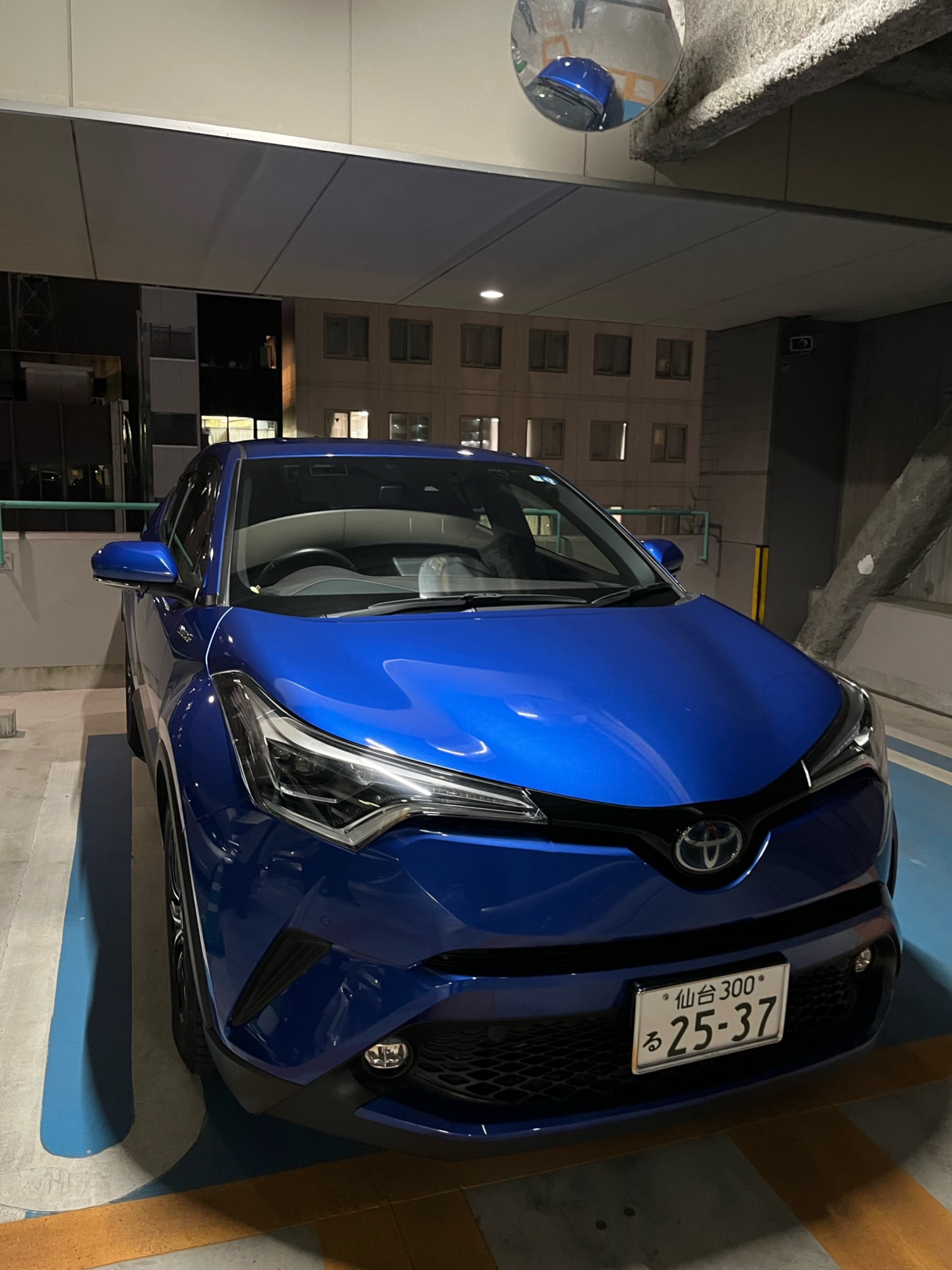 洗車後の車両全体。塗装に艶が戻った仕上がりの様子